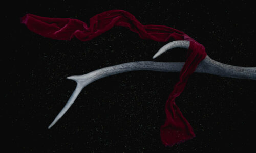 Best Surreal Photos of the Year