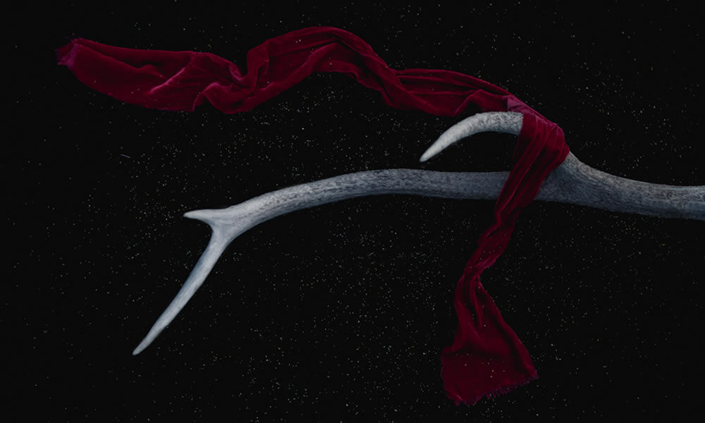 Best Surreal Photos of the Year