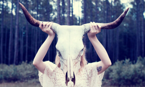 Photo Session in the Woods